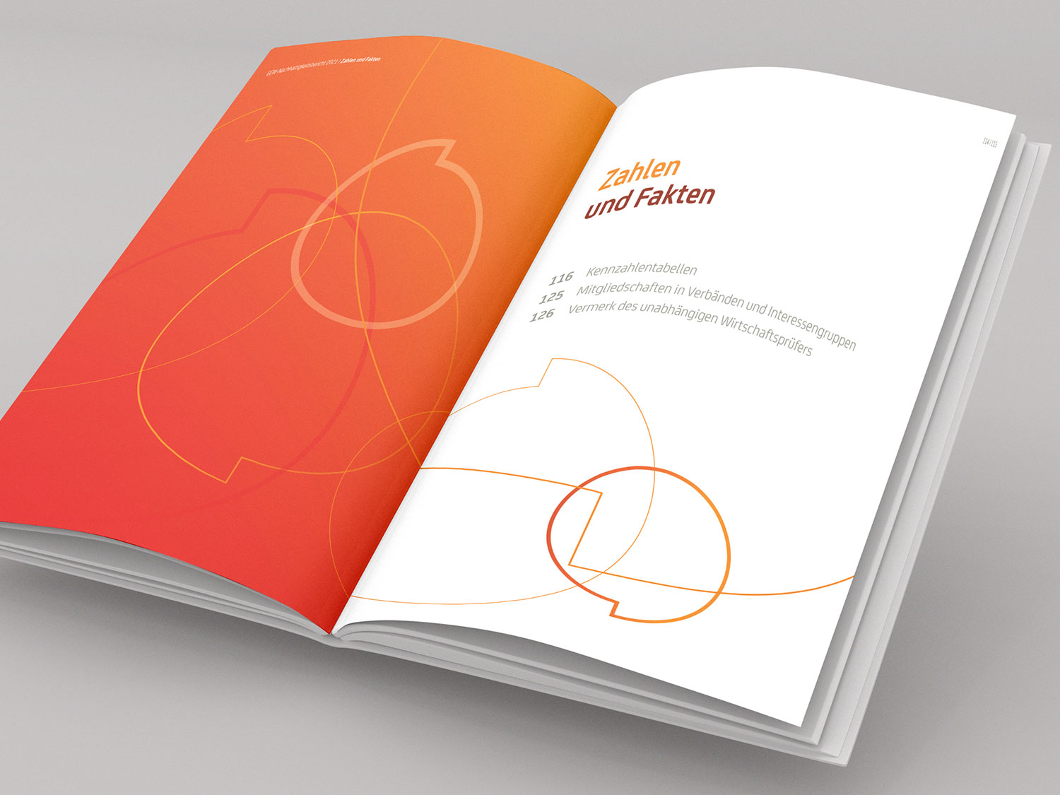 Beispielhafte Seiten aus dem EEW-Nachhaltigkeitsbericht