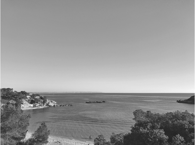 Das Team von Petershagen Communications.